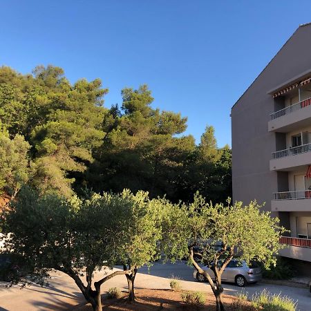 Grand Studio A Hyeres Entre Mer Et Ville Eksteriør bilde