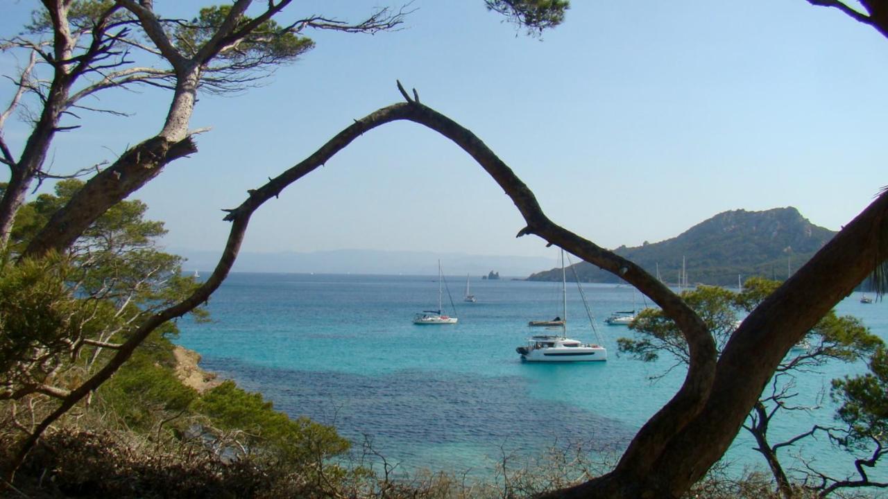 Grand Studio A Hyeres Entre Mer Et Ville Eksteriør bilde