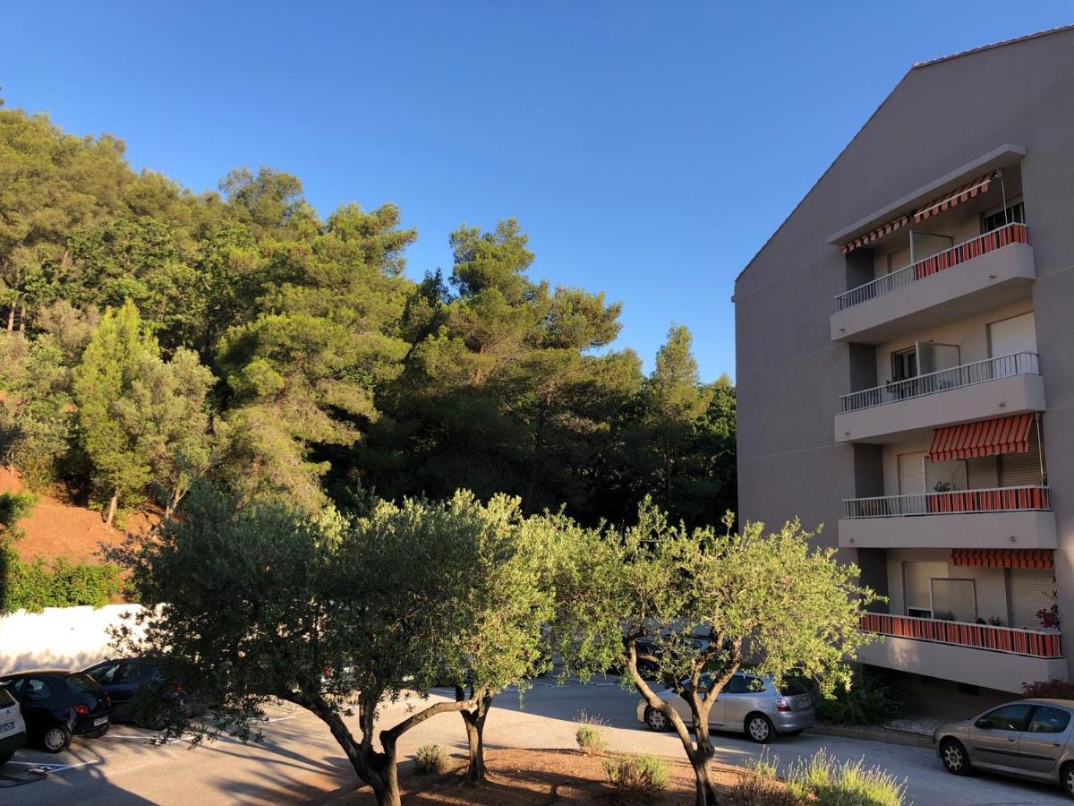 Grand Studio A Hyeres Entre Mer Et Ville Eksteriør bilde