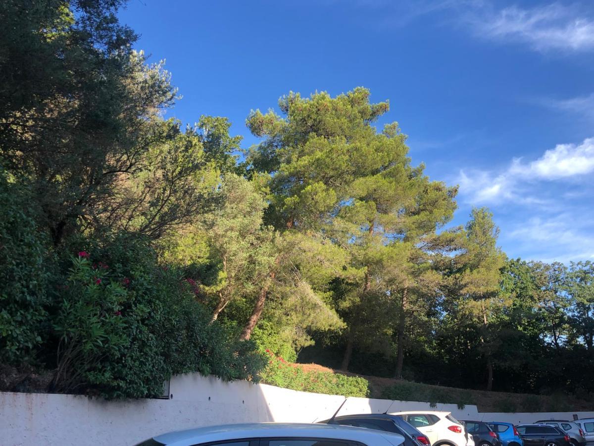 Grand Studio A Hyeres Entre Mer Et Ville Eksteriør bilde