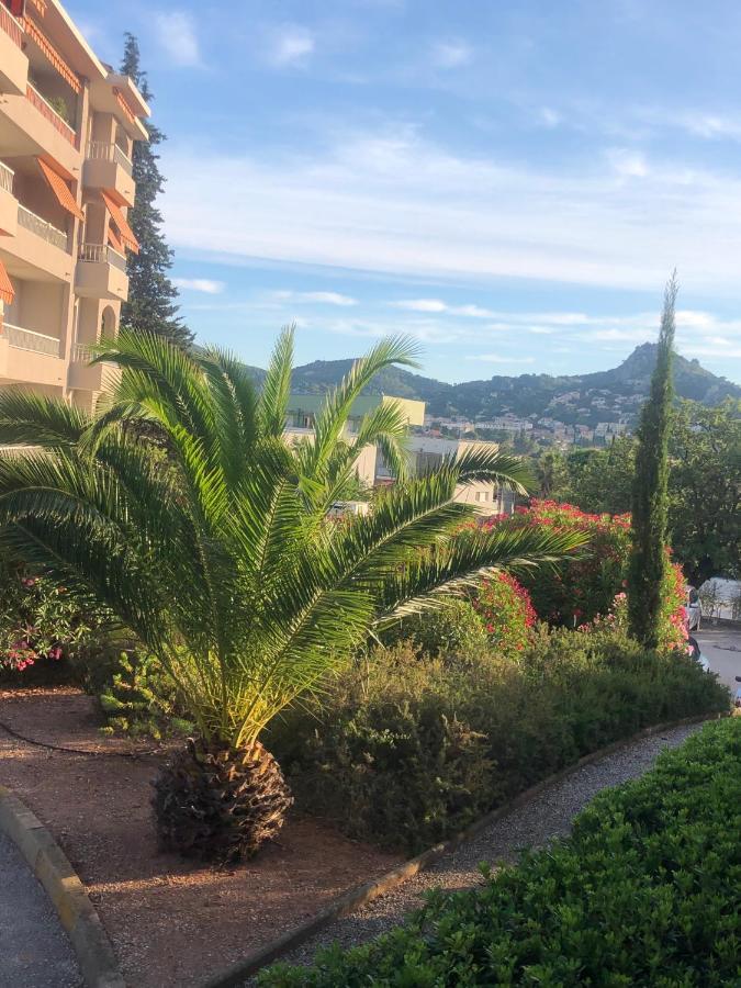 Grand Studio A Hyeres Entre Mer Et Ville Eksteriør bilde